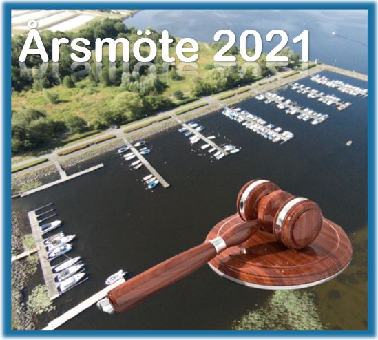 Årsmöte 2022- protokoll